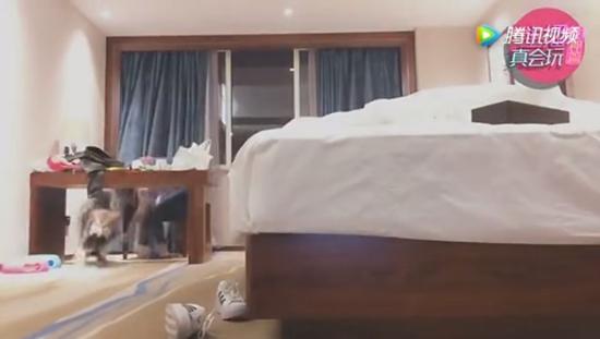 犀利的手法……