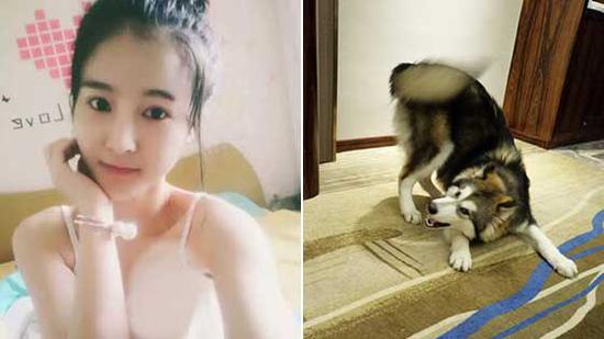 狗狗叼走女主播内衣_叼烟动漫头像女(2)