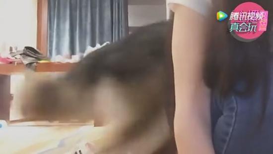 在趁妹子不注意的时候