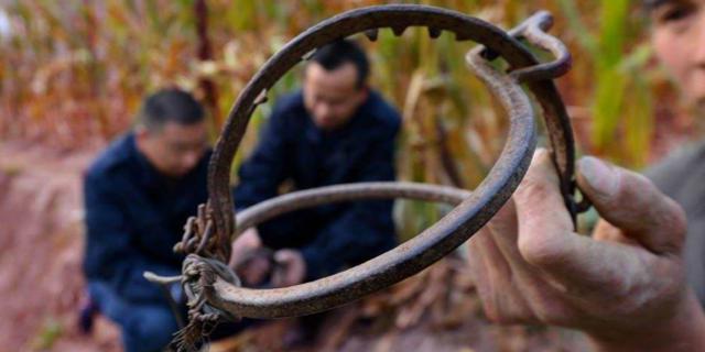 打野直播:万人围观杀野生动物
