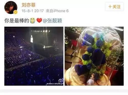 21刘亦菲会去看张靓颖的演唱会