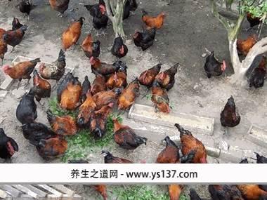 u=2966992278,1626110849&fm=23&gp=0