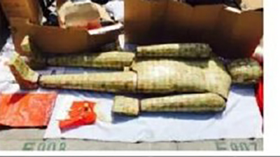 66640ec4ly1fe1gma68euj20fa09bjrr