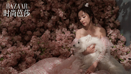 姑姑姑父@杨幂 @HERO趙又廷 拍摄封面大片的花絮曝光啦~~这是要给我们来一场《三生三世十里桃花》的番外故事咩。