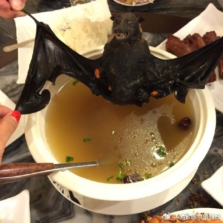 652f5916ly1ff70ncwlnnj20go0go40m