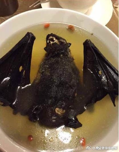 652f5916ly1ff70nb8pgdj20bm0eut97