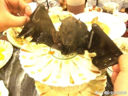 652f5916ly1ff70nd497sj20j60eemzn