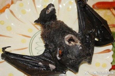 652f5916ly1ff70nbg60vj20j60cn0u6