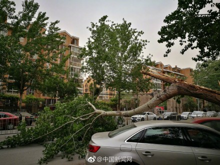 6a5ce645ly1ffaa20q6fwj21kw16onp2