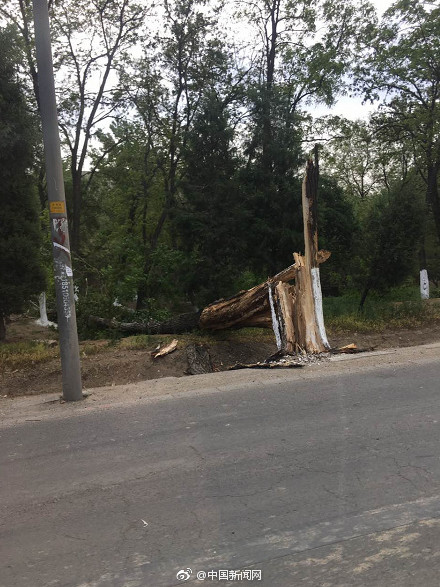 6a5ce645ly1ffaa2391fwj20cd0gi7jj