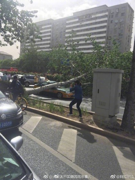 6a5ce645ly1ffaa23sqwxj20j60pktb1