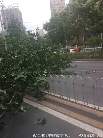 6a5ce645ly1ffaa2516anj20j60pkq4p