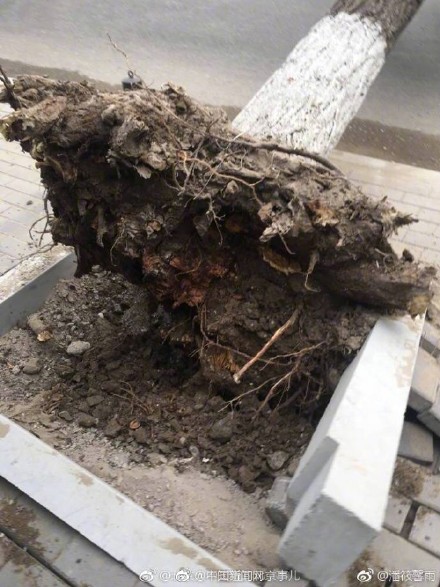 6a5ce645ly1ffaa26b25tj20j60pkgnq