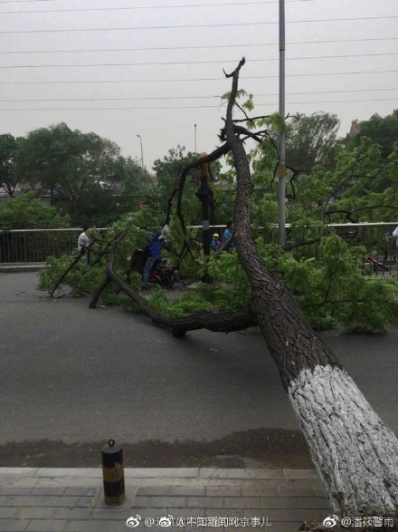 6a5ce645ly1ffaa25ntp0j20j60pkwgb