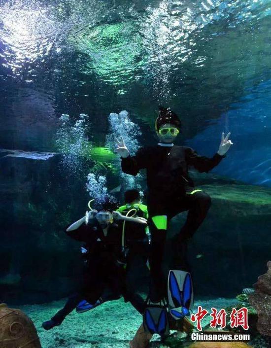 中南财经政法大学武汉学院