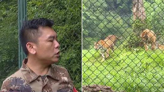 三兄妹为逃票险入虎口 工作人员讲述惊险一幕