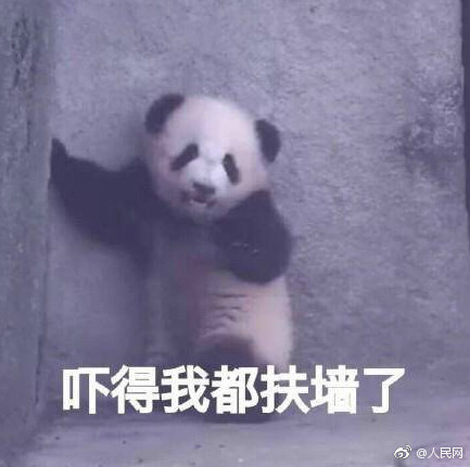 884f7263ly1fgp7dhfqe9j20c10bz3za