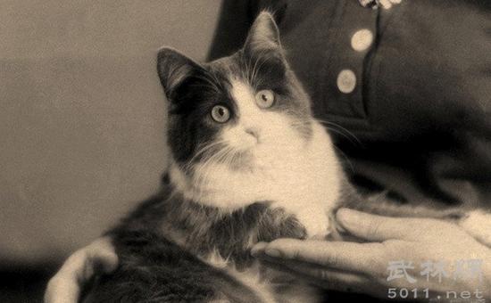 麦康奈尔1992年死于枪杀，6发子弹扎扎实实贯穿心脏。5年后，女儿多琳生下儿子威廉，威廉一出生心脏就不太好，有次多琳要打他，威廉突然表示，女儿，从小到大我没打过你，所以你也不可以打我！此外，威廉还知道麦康奈尔对家里的猫咪的爱称老大“Boss”。