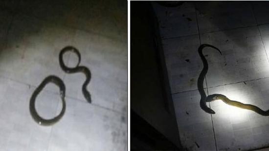 点击图片看原样大小图片