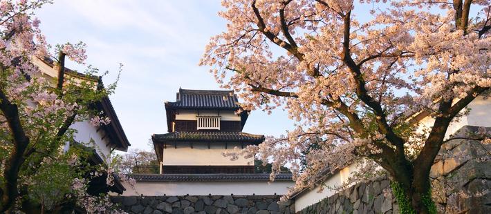 赴日本“民宿游”安全吗？