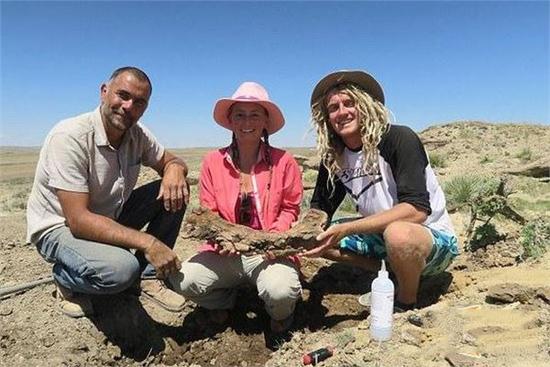 此前还有来自美国夏威夷艾莉森•蒂尔(Alison Teal)在怀俄明州勘察过程中无意间被绊倒，结果意外发现了极其罕见的三角恐龙颌骨化石。