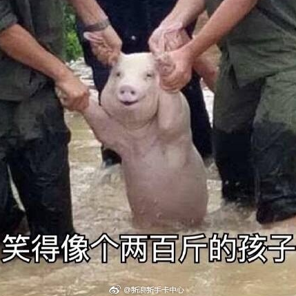 微信截图_20170826085732