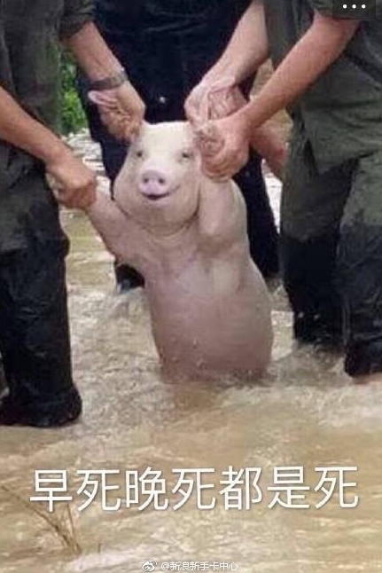 微信截图_20170826085654