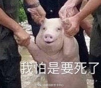 微信截图_20170826085633