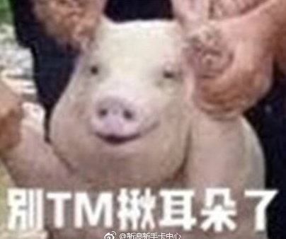 微信截图_20170826085645