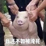 微信截图_20170826085721