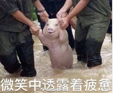 微信截图_20170826085624