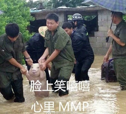 微信截图_20170826085703