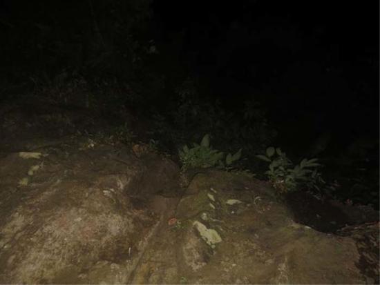 这张照片拍摄于两人失踪后 当时绝大部分照片都是全黑