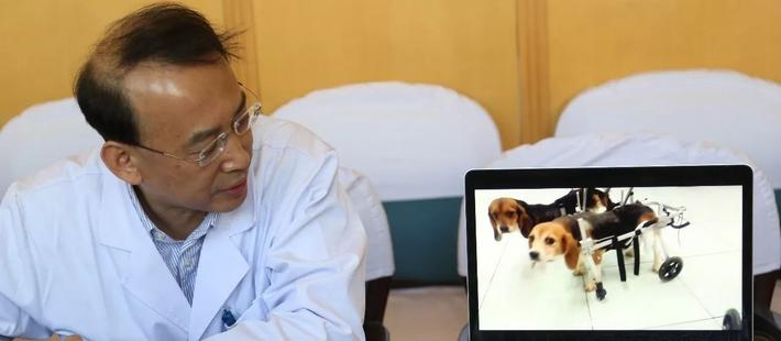 疯狂“换头术”:访任晓平医生