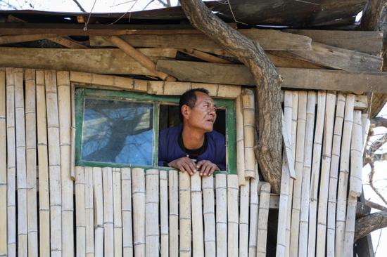 树屋是王承德的得意之作。