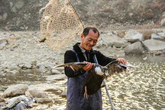 图为2016年11月5日，王承德在自己承包的河道捉鸭子。