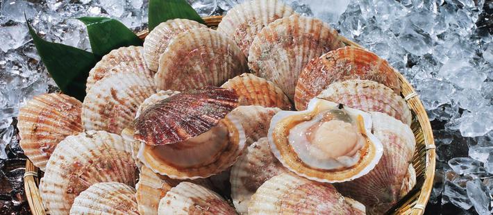 獐子岛购买日本扇贝填充国内