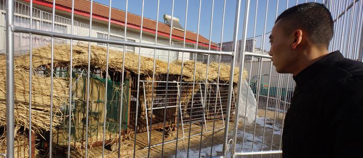 深度丨一个河北男人，没有猴