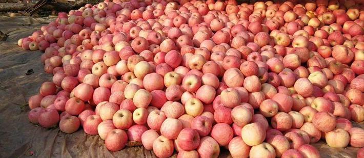 揭开网售滞销水果悲情牌套路