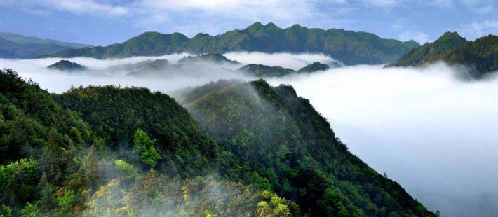 井冈山景区一票制出了啥问题?