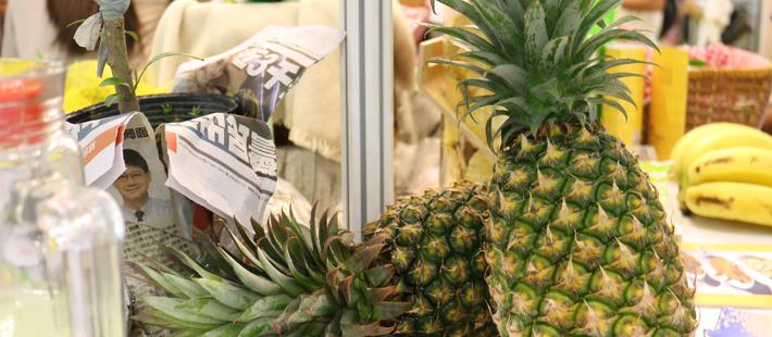 大陆菠萝滞销,为何采购台湾？