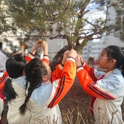 播撒绿色种子育新人