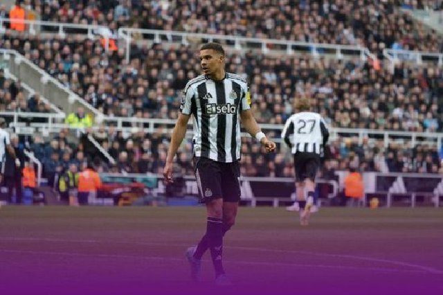 埃弗顿3-2纽卡结束2连败 巴里制胜 贝托破门+中框 波普黄油手