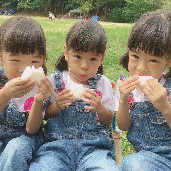 3只小可爱今年5岁，和两个文静的姐姐相比，她们三个就欢脱多了。