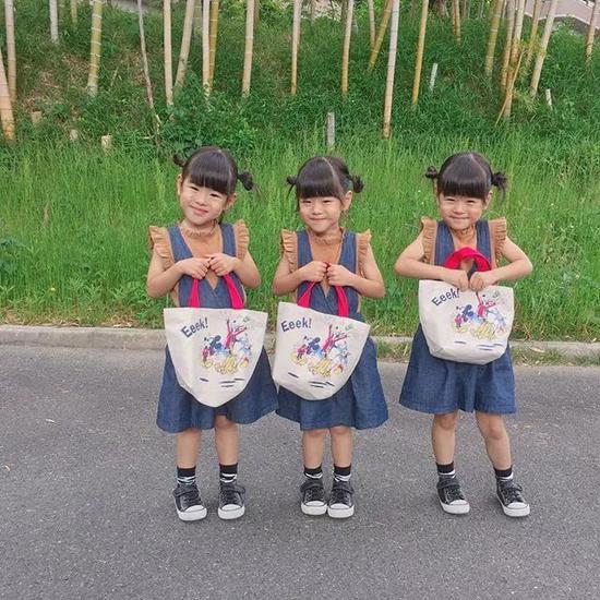 3只小可爱今年5岁，和两个文静的姐姐相比，她们三个就欢脱多了。