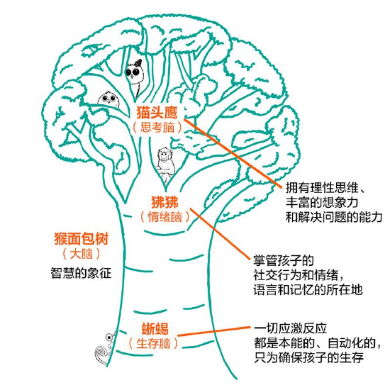 畅销书《读懂孩子的情绪信号：你的孩子并不淘气》重磅上市