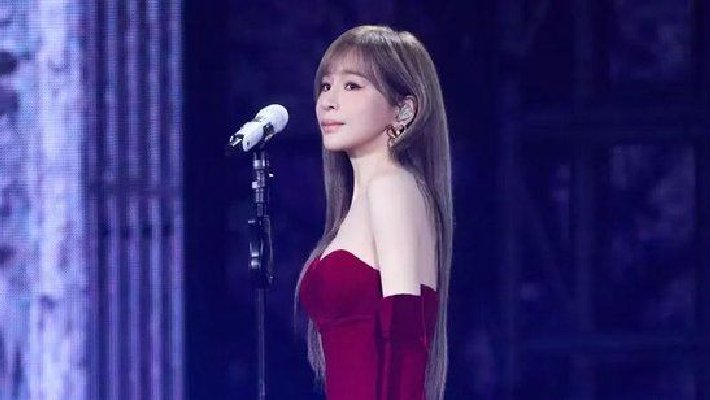 王心凌演唱会发生意外，部分演出取消