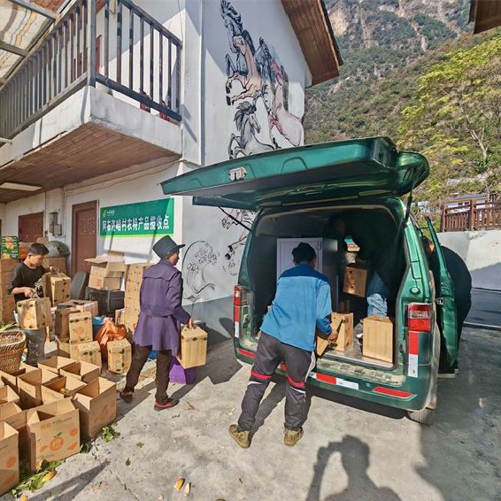 陽光照進阿布洛哈村