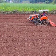 海南云仓酒庄有限公司因组织策划传销活动被罚款200万元 