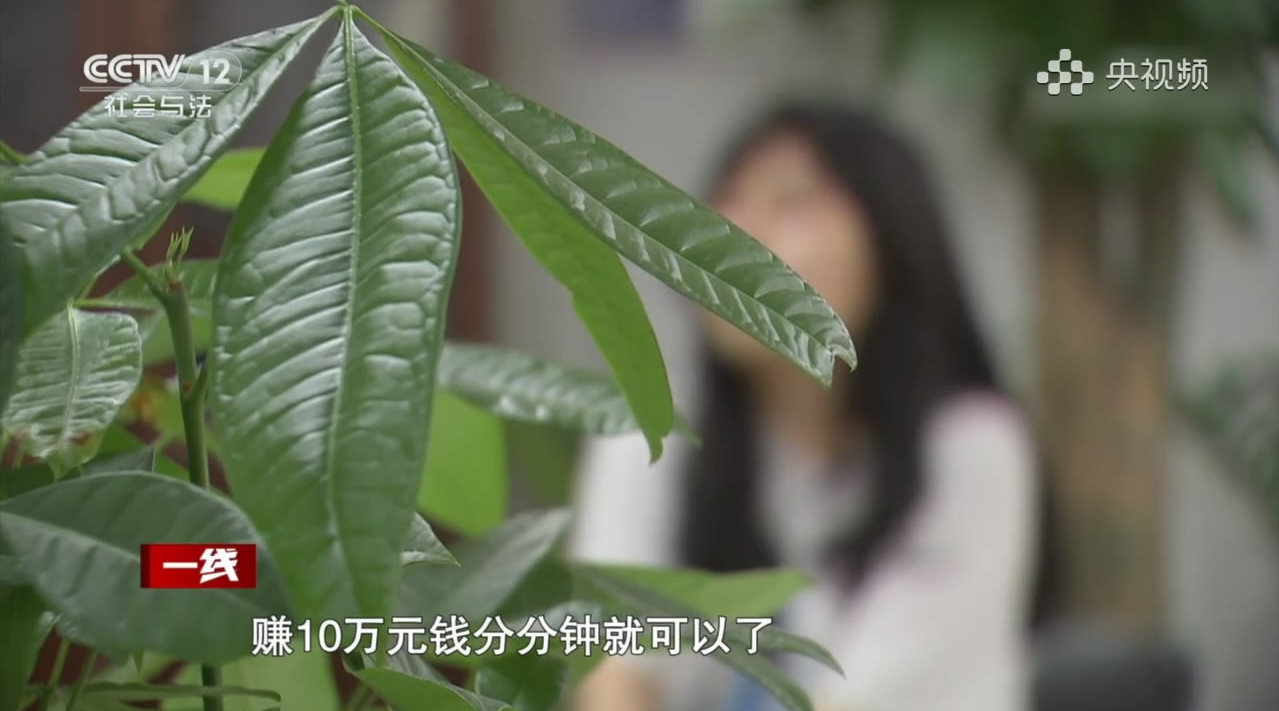 央视曝光整容贷套路